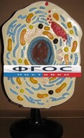 Модель "Клетка животного" - fgospostavki.ru - Томск