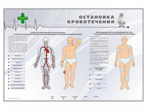 Электрифицированный стенд "Остановка кровотечения" - fgospostavki.ru - Томск