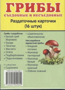 Раздаточные карточки "Грибы съедобные и не съедобные" - fgospostavki.ru - Томск