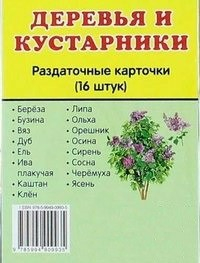 Раздаточные карточки "Деревья и кустарники" - fgospostavki.ru - Томск