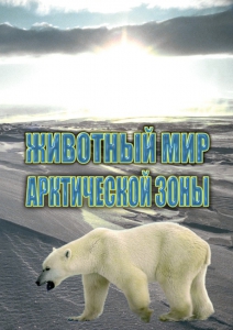DVD "Животный мир Арктической зоны" - fgospostavki.ru - Томск