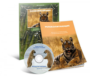 Электронное наглядное пособие «Млекопитающие» - fgospostavki.ru - Томск