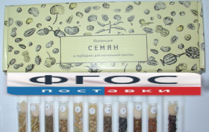 Коллекция "Семена к гербарию для начальной школы" (11 видов) - fgospostavki.ru - Томск