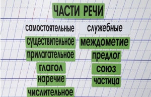 Набор магнитных карточек "Части речи" (фон зелёный) - fgospostavki.ru - Томск