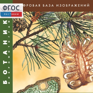 Ботаника. Микрофотографии. (Цифровая база изображений) - fgospostavki.ru - Томск