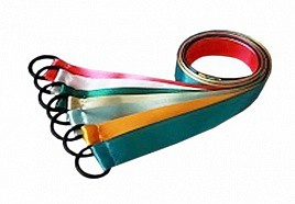 Лента гимнастическая на кольце (1 метр) - fgospostavki.ru - Томск