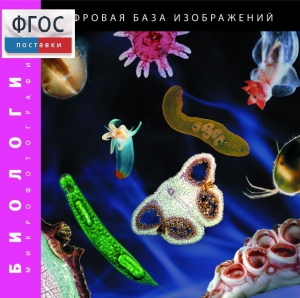 Биология. Микрофотографии. (Цифровая база изображений) - fgospostavki.ru - Томск