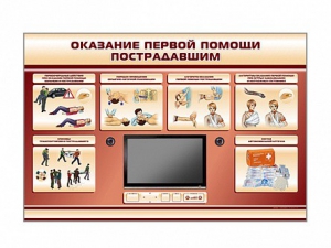 Многофункциональный интерактивный стенд-тренажер "Оказание первой помощи пострадавшим" для учащихся общеобразовательных учреждений - fgospostavki.ru - Томск