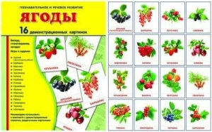 Демонстрационные карточки "Ягоды" - fgospostavki.ru - Томск