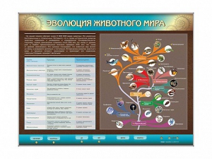 Интерактивный электрифицированный стенд "Эволюция животного мира" - fgospostavki.ru - Томск