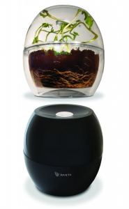 Набор для выращивания растений на свету и в темноте - fgospostavki.ru - Томск
