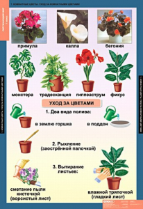Комплект таблиц. Окружающий мир 1 класс. - fgospostavki.ru - Томск