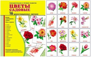 Демонстрационные карточки "Цветы садовые" - fgospostavki.ru - Томск