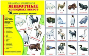 Демонстрационные карточки "Животные холодных широт" - fgospostavki.ru - Томск