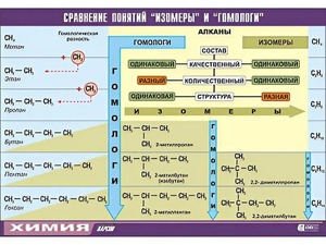 Таблица демонстрационная "Сравнение понятий изомер и гомолог" (винил 100x140) - fgospostavki.ru - Томск