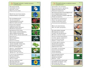 Комплект карточек (10) "Обучающий калейдоскоп. Природа" - fgospostavki.ru - Томск