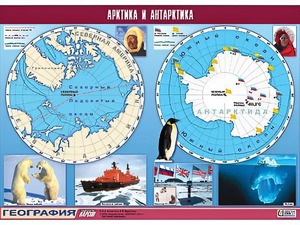 Таблица демонстрационная "Арктика и Антарктика" (винил 100*140) - fgospostavki.ru - Томск