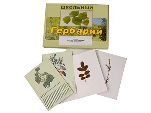Гербарий "Деревья и кустарники" (22 вида, с иллюстрациями) - fgospostavki.ru - Томск