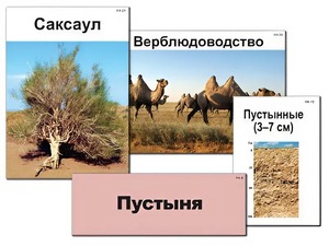 Модель-аппликация "Природные зоны России" (ламинированная) - fgospostavki.ru - Томск