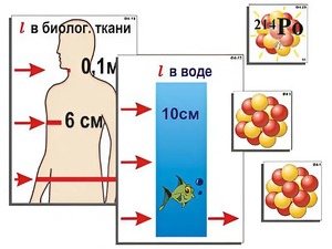 Модель-аппликация "Явление радиоактивности" (ламинированная) - fgospostavki.ru - Томск