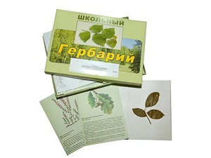 Гербарий "Дикорастущие растения" (30 видов, с иллюстрациями) - fgospostavki.ru - Томск