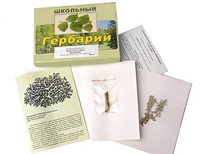 Гербарий "Водоросли. Грибы. Лишайники" (раздаточный) - fgospostavki.ru - Томск