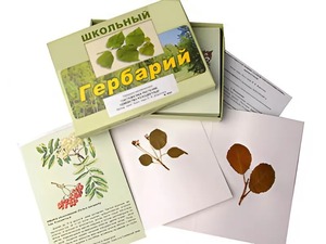 Гербарий "Систематика растений. Семейство Розоцветные" (раздаточный) - fgospostavki.ru - Томск