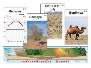Модель-аппликация "Природные зоны" - fgospostavki.ru - Томск