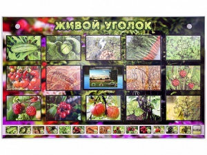 Комплект оборудования "Живой уголок" (растения) с тифлопереводом и сурдокомментариями - fgospostavki.ru - Томск