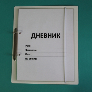 Дневник школьника (с полным набором карточек) - fgospostavki.ru - Томск