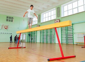 Бревно гимнастическое напольное постоянной высоты (700 мм) (5 м) - fgospostavki.ru - Томск