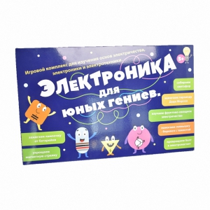 Игровой комплекс Электроника для юных гениев - fgospostavki.ru - Томск