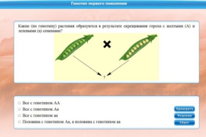 Интерактивные курсы. Биология 11 класс. Базовый. - fgospostavki.ru - Томск