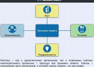 Интерактивные курсы. Биология 5 класс. Базовый - fgospostavki.ru - Томск