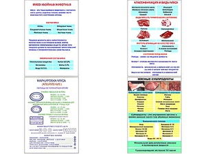 Плакаты ПРОФТЕХ "Классификации и виды мяса" (4 пл, винил, 70х100) - fgospostavki.ru - Томск