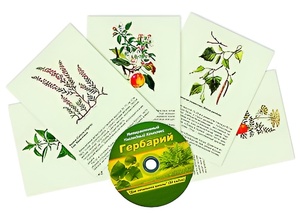 Интерактивный наглядный комплекс "Гербарий "Для начальной школы" - fgospostavki.ru - Томск