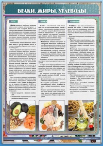 Стенд "Белки. Жиры. Углеводы" - fgospostavki.ru - Томск