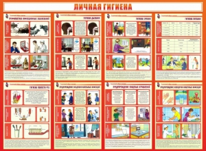 Стенд "Личная гигиена" - fgospostavki.ru - Томск