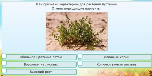 Интерактивные курсы. Окружающий мир 3 класс . Базовый. - fgospostavki.ru - Томск