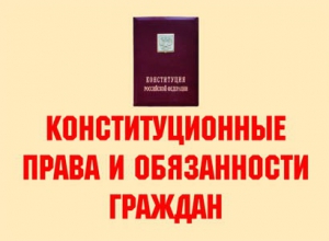 Комплект плакатов "Конституционные права и обязанности граждан" - fgospostavki.ru - Томск