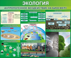 Стенд "Экология. Антропогенное воздействие на биосферу" - fgospostavki.ru - Томск