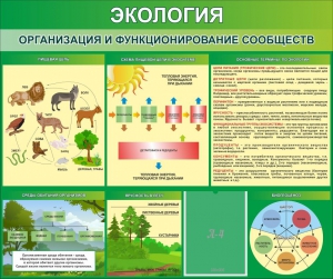 Стенд "Экология. Организация и функционирование сообществ" - fgospostavki.ru - Томск