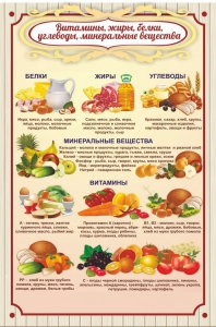 Стенд "Витамины, жиры, белки" - fgospostavki.ru - Томск
