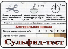 Тест-система «Сульфид-тест» - fgospostavki.ru - Томск