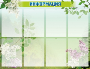 Стенд "Информация" Вариант 13 - fgospostavki.ru - Томск