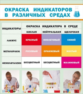 Стенд "Окраска индикаторов в различных средах" - fgospostavki.ru - Томск