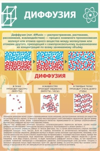 Стенд "Диффузия" - fgospostavki.ru - Томск