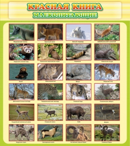 Стенд "Красная книга - млекопитающие" - fgospostavki.ru - Томск
