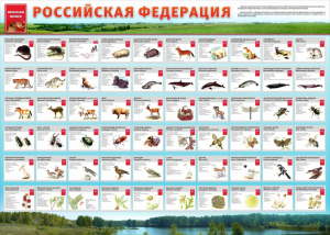 Стенд "Красная книга РФ" - fgospostavki.ru - Томск