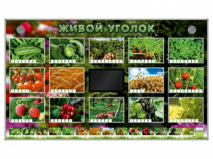 Комплект оборудования "Живой уголок" (растения) - fgospostavki.ru - Томск